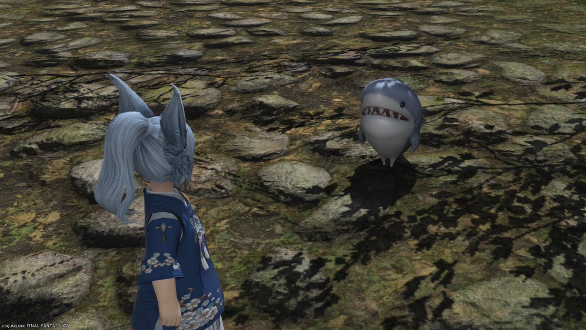 実瑠-minoru- tweet media