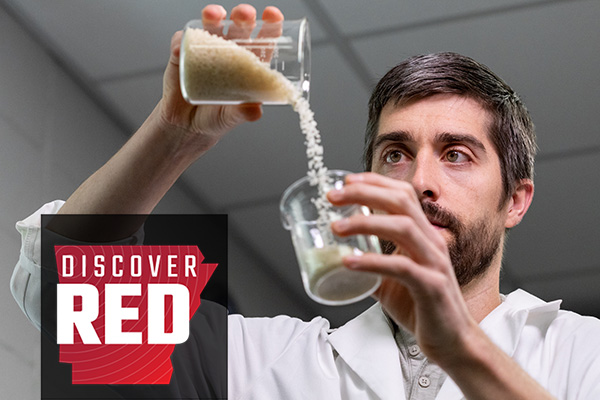 UArkResearch's tweet photo. Latest Discover RED video features food chemistry professor’s efforts to use Arkansas rice to make a better tasting non-alcoholic beer. @UArkansas @UofA_Research @ArkAgResearch @bumperscollege @ScottLafontain #NAB #UARK
https://t.co/cC0A5skjJz https://t.co/qrjrUaGMPH