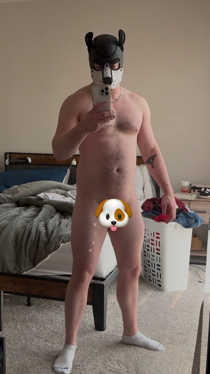 Blaidd and Trance ➡️ PURPLE PARTY tweet media