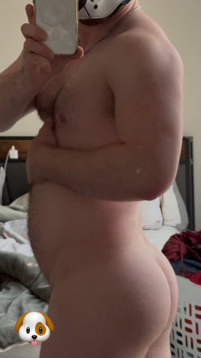 Blaidd and Trance ➡️ PURPLE PARTY tweet media