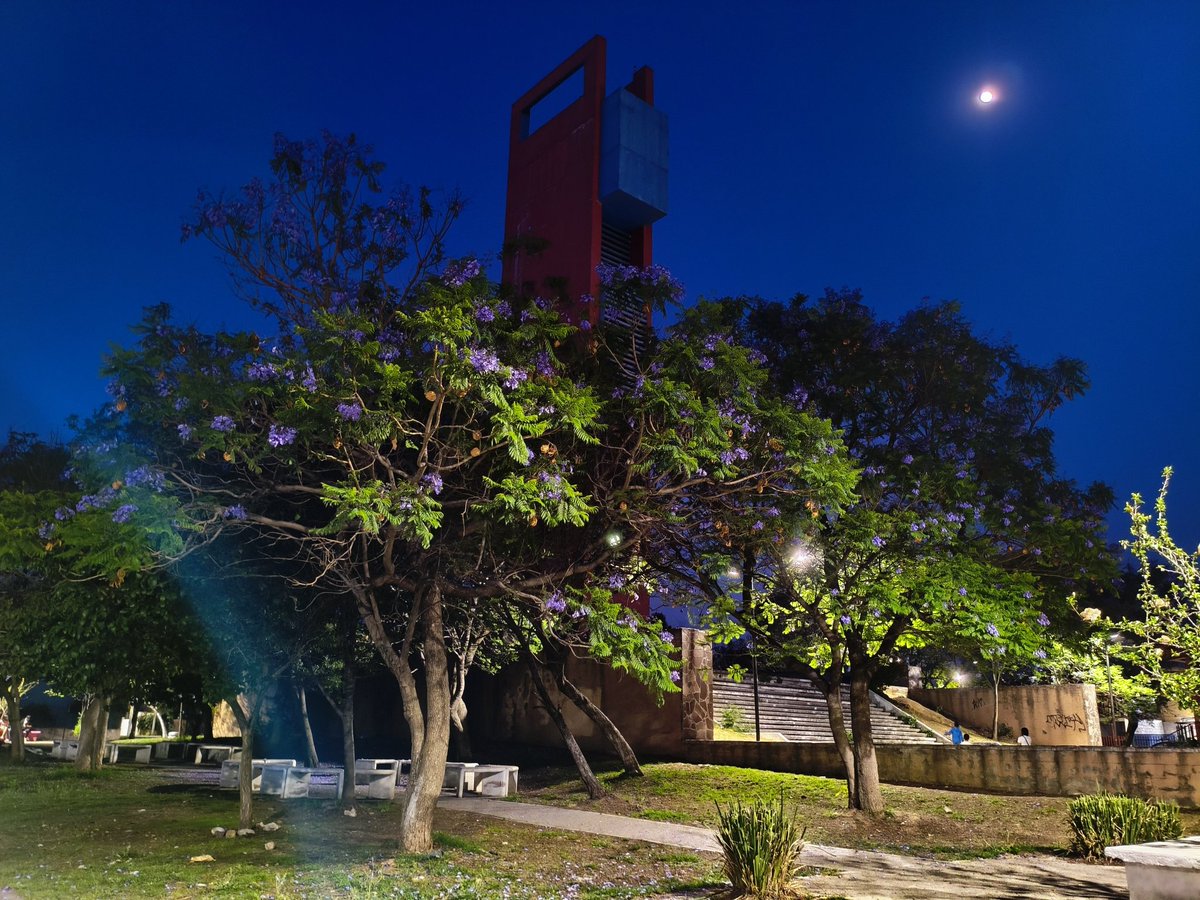 elgallovirtual tweet media