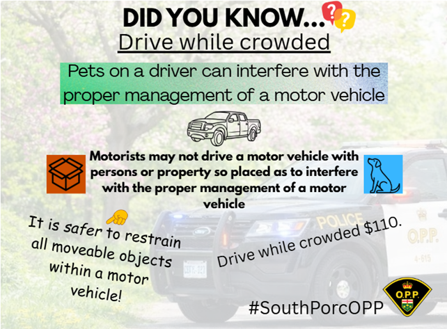 OPP_NER's tweet photo. #SouthPorcOPP
#OPPtips
^sb https://t.co/QzP56VFcMz