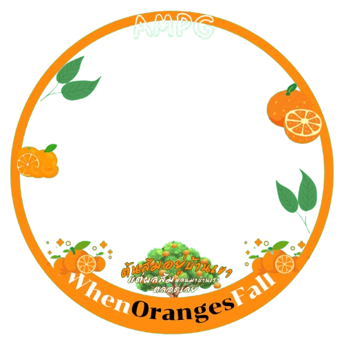 𝒏𝒂-𝒎𝒆𝒂𝒏 🍊🏡 tweet media