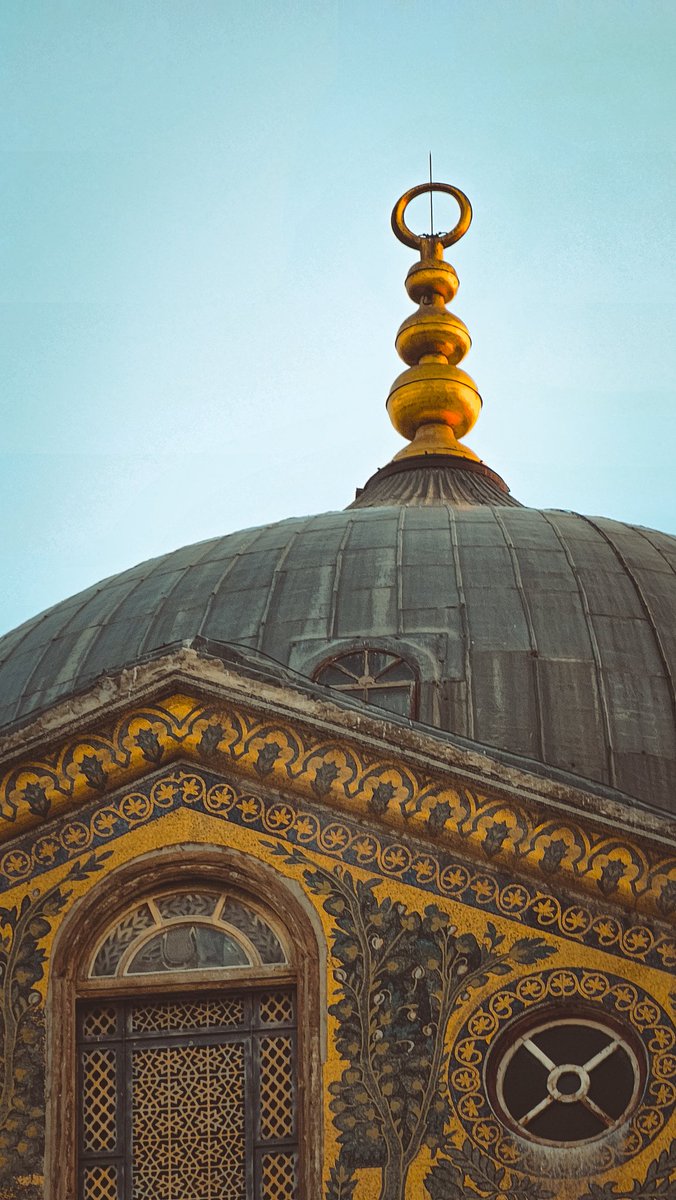 Potato | محمد tweet media