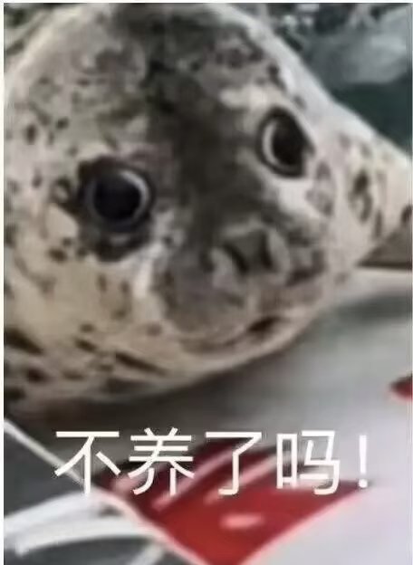 峡谷先锋（🦊观察员） tweet media