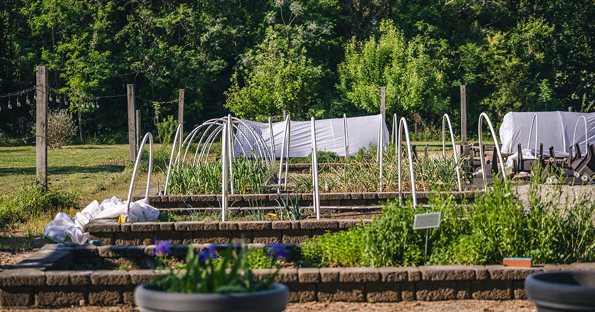 MeredithCollege's tweet photo. The Dickson Foundation Community Garden is doing more than fighting food insecurity on Meredith’s campus; it’s become a place for students to relax.

Gianna Pasquale, ’28, talked with students about their experiences in the garden in the article below.

https://t.co/EUEgsCOaJ8 https://t.co/IxmvrhFbYD