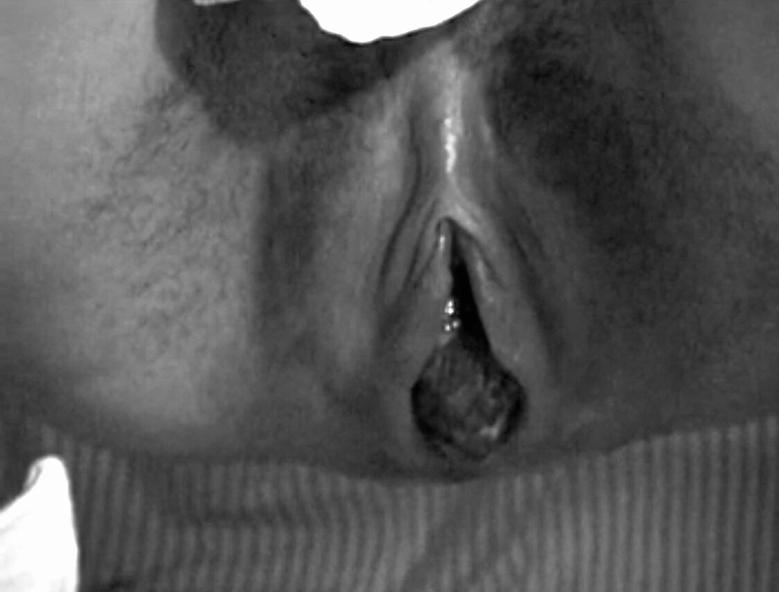 Claraput_ tweet media