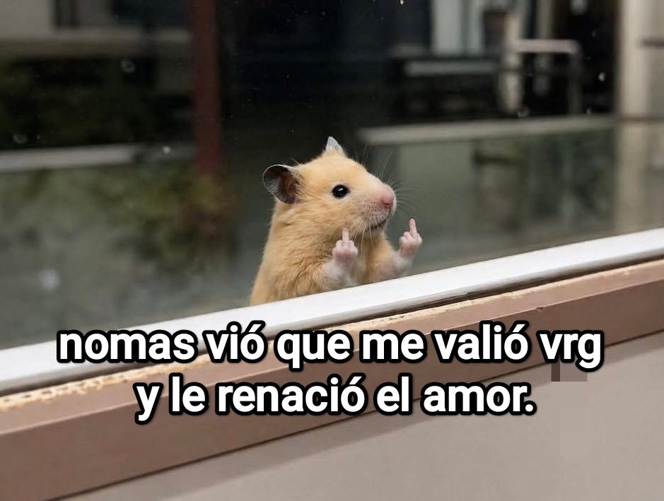 Cap Briagowsky tweet media