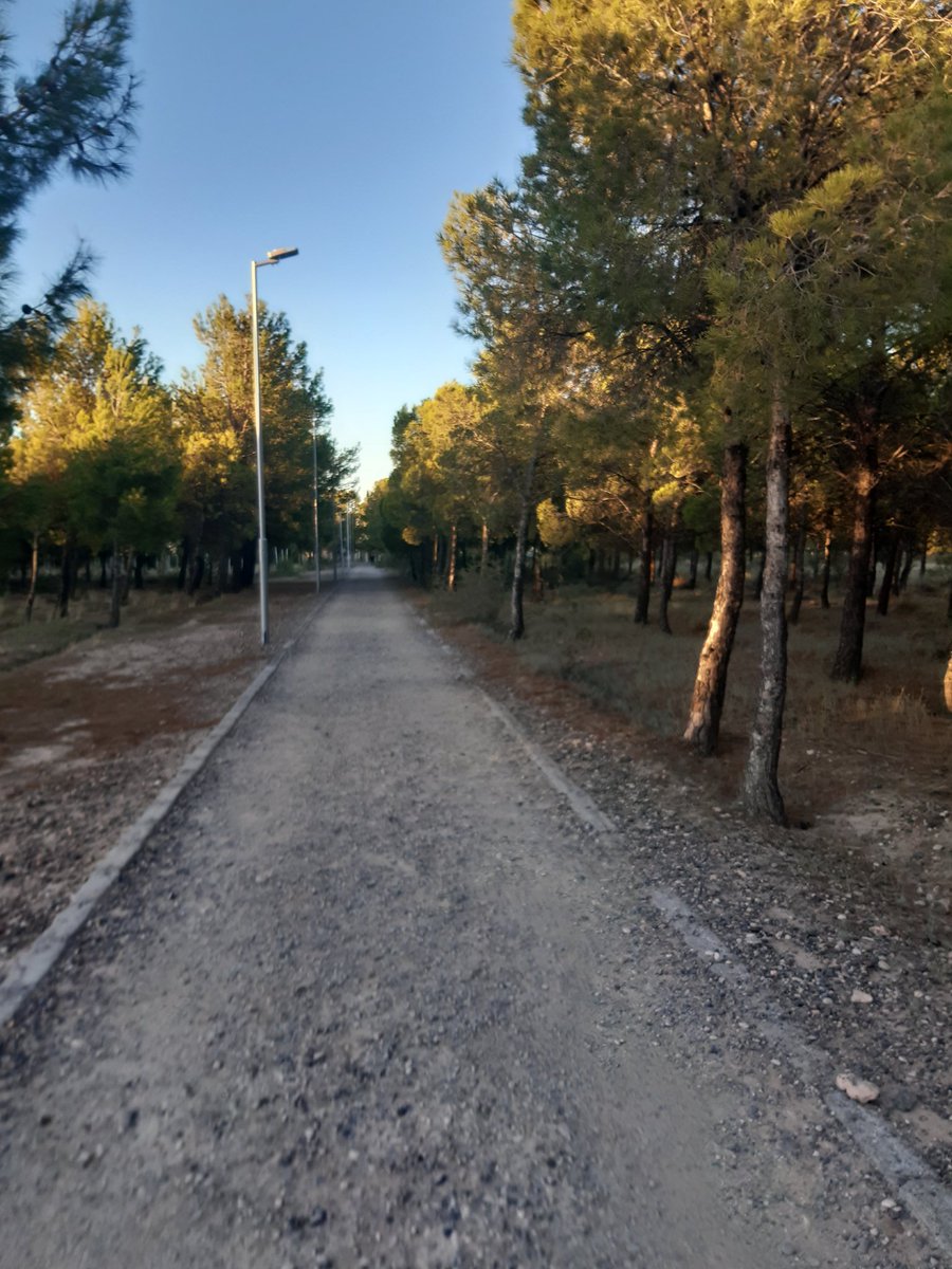 Mora Calzone tweet media