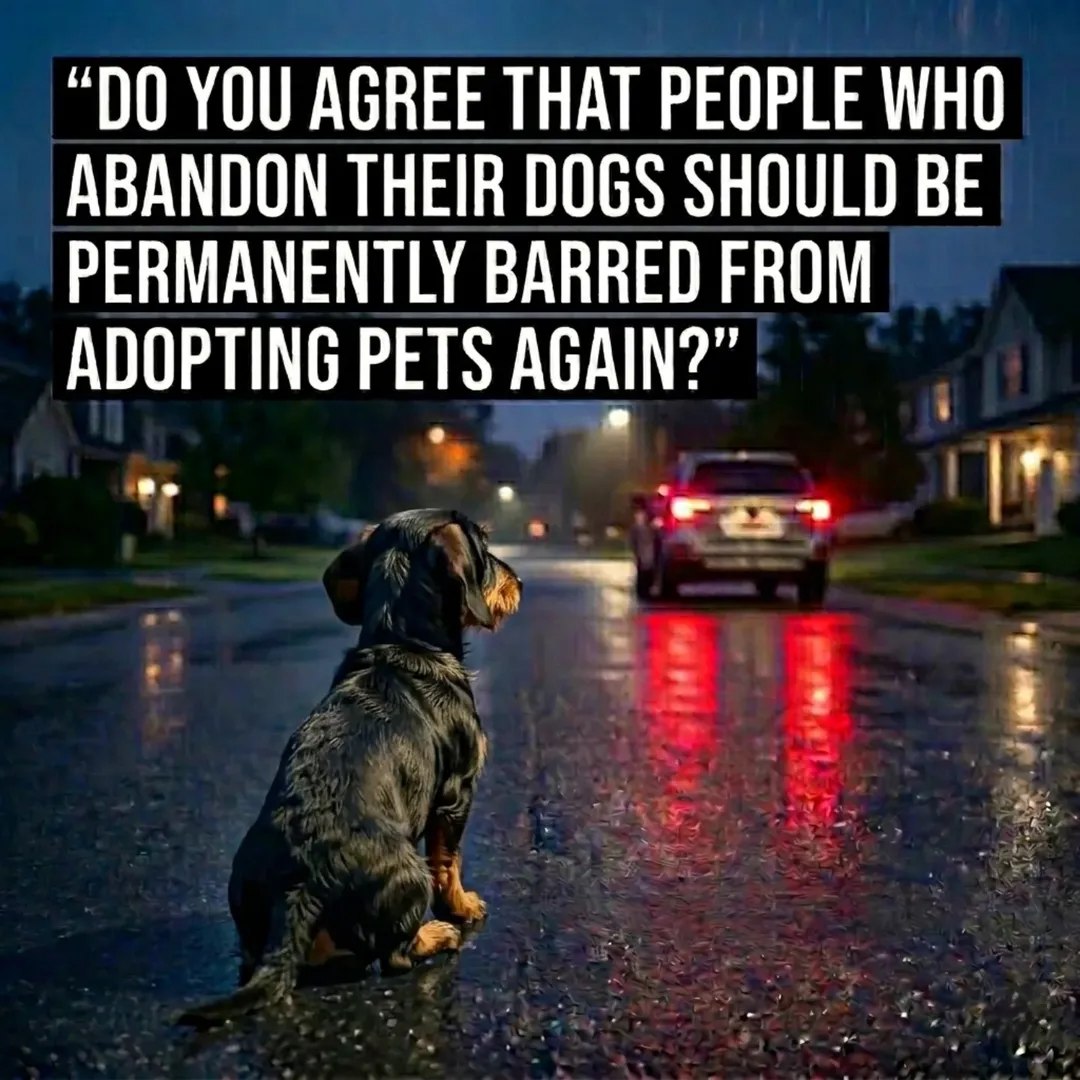 Doggy Mix Daily tweet media