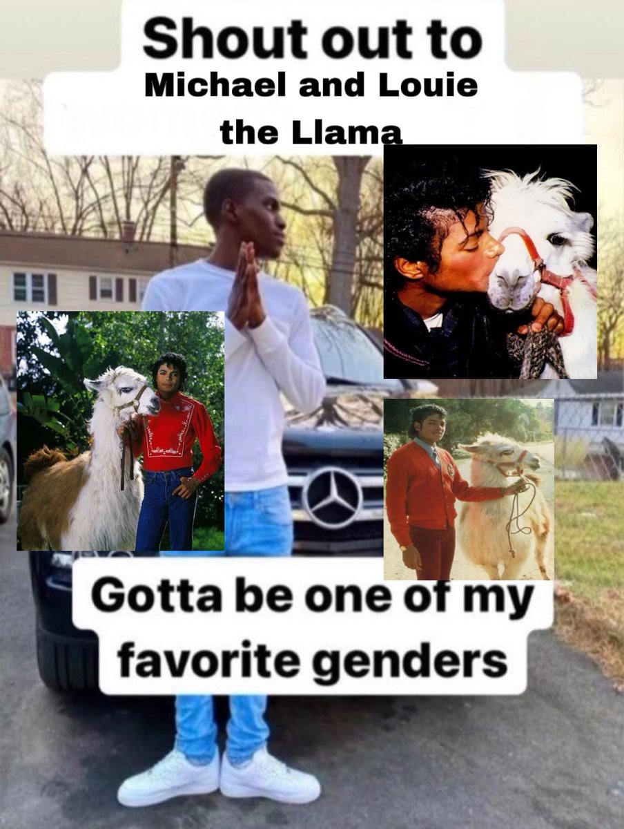 lia! ·˚ ༘ tweet media