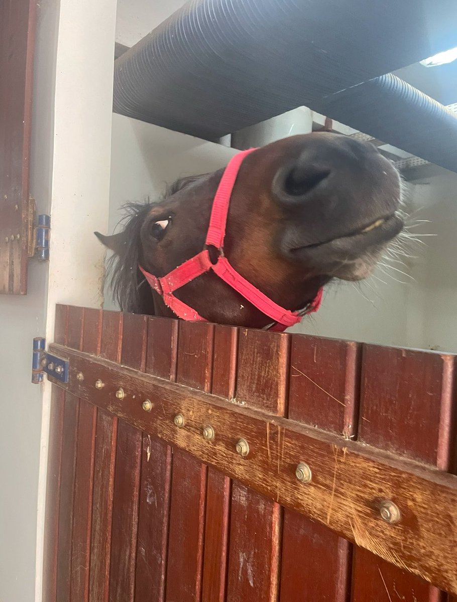 ੯‧̀͡⬮ tweet media