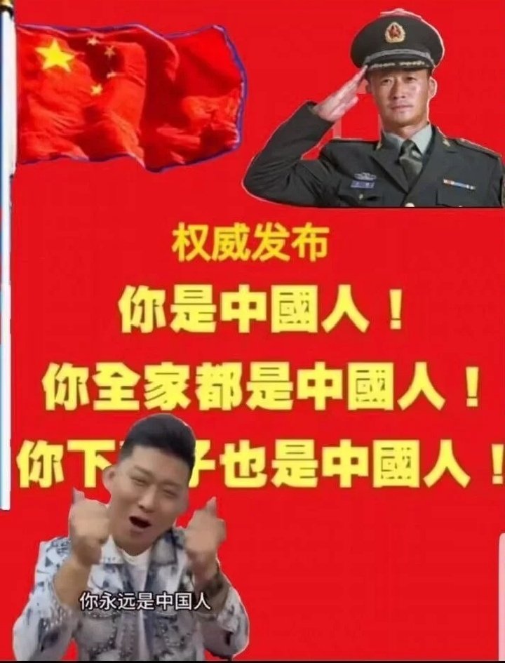 蓬莱山輝夜 tweet media