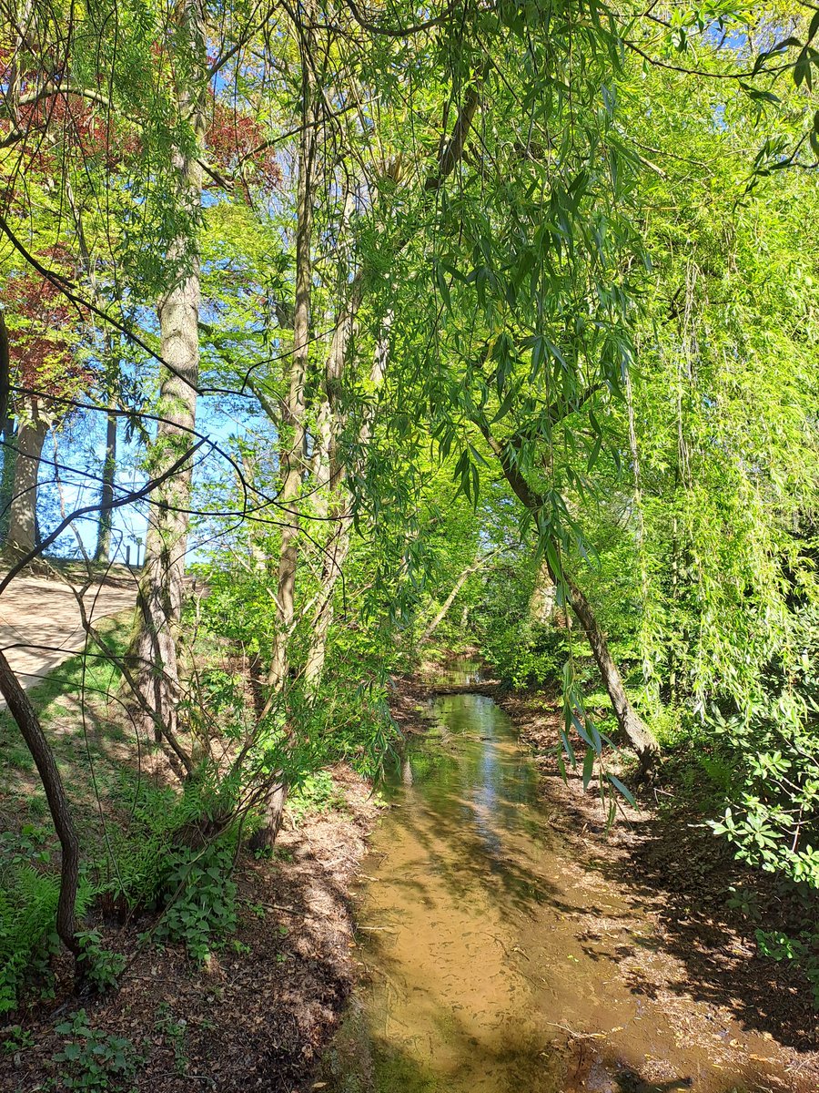 BekiekTwente's tweet photo. Mooi hè, al dat jonge frisse groen. 
#LenteInTwente
Dal van de Mosbeek
#Mander #Tubbergen 
#Twente #BekiekTwente https://t.co/hDU7ETKwU9