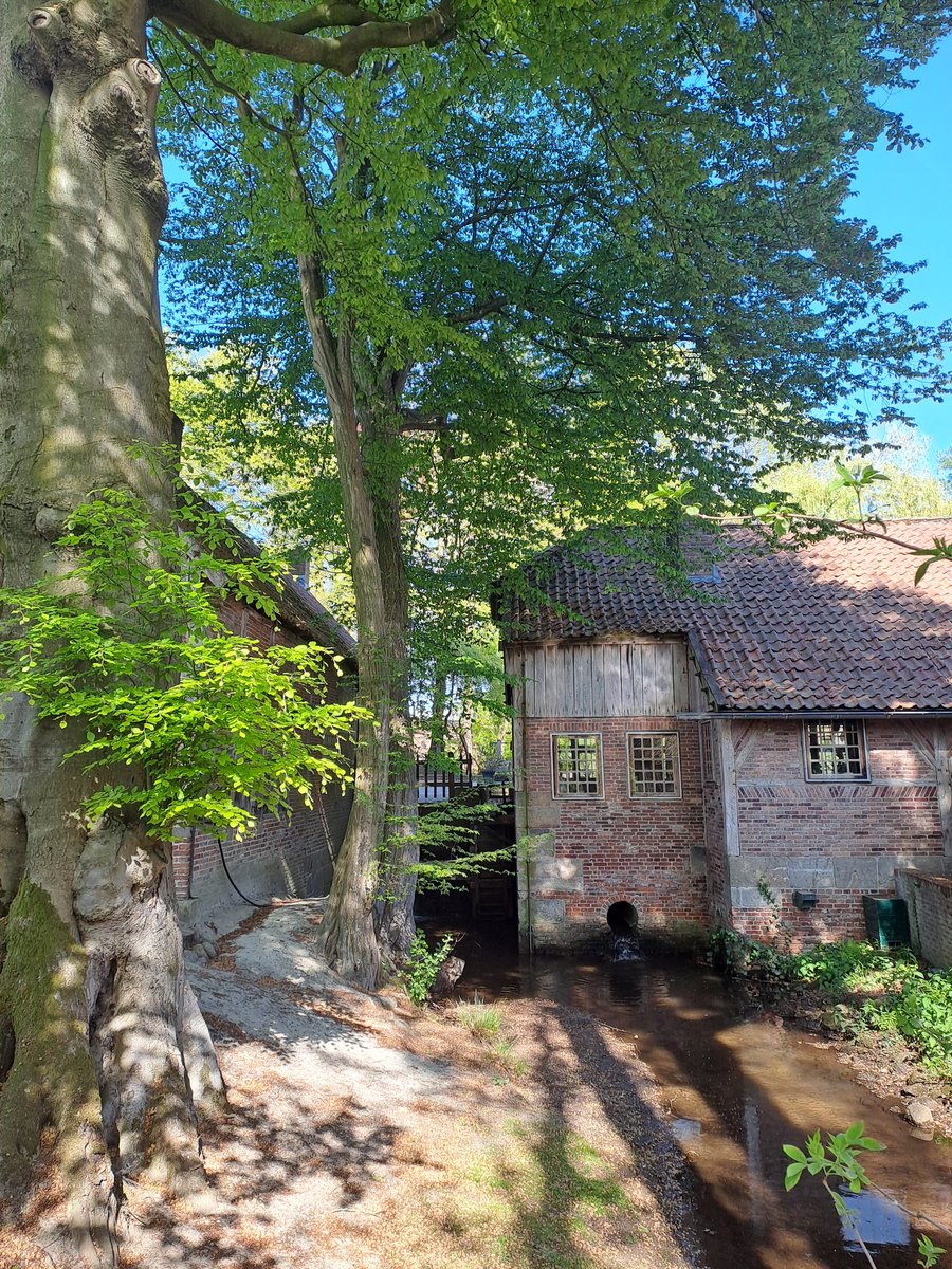 BekiekTwente's tweet photo. Mooi hè, al dat jonge frisse groen. 
#LenteInTwente
Dal van de Mosbeek
#Mander #Tubbergen 
#Twente #BekiekTwente https://t.co/hDU7ETKwU9