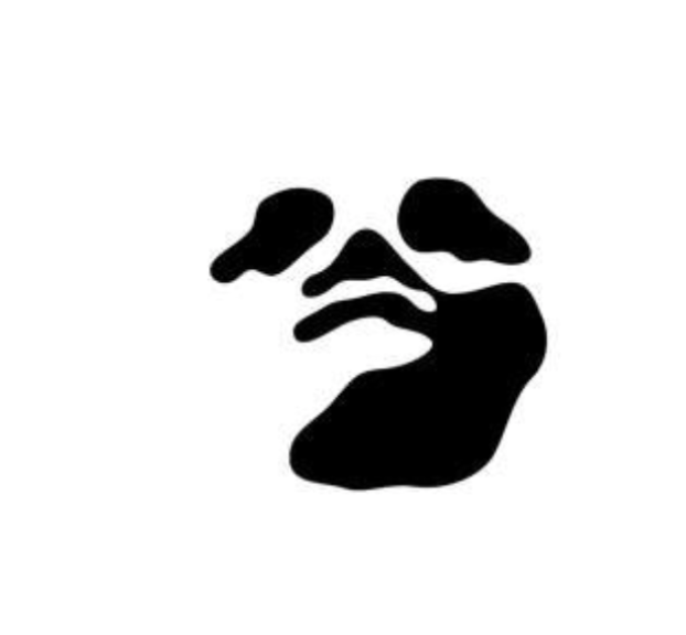 Kieran Parker tweet media