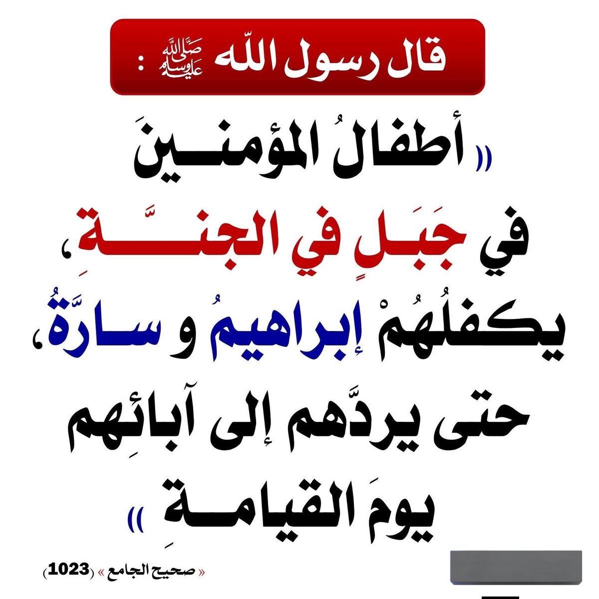 طويلب علم tweet media