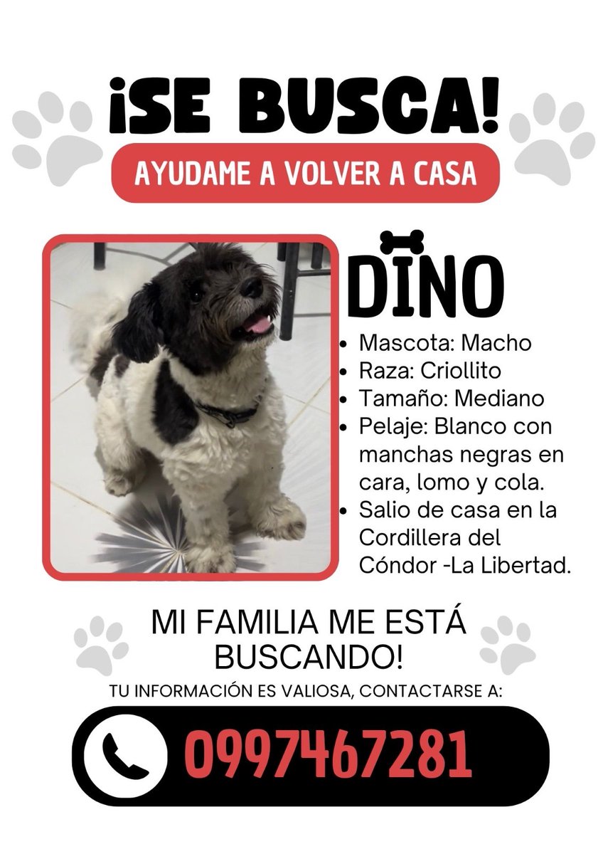 Alerta me perdi tweet media