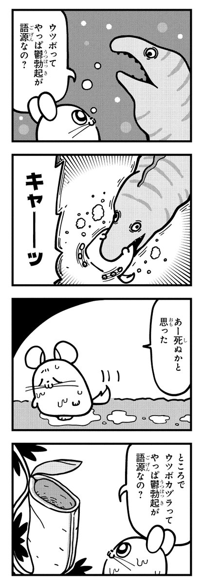 チンピラページ やっぱりチンチランド (@chinchilla_land) on X