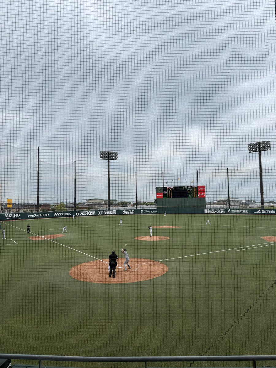 たのヴォー！ tweet media