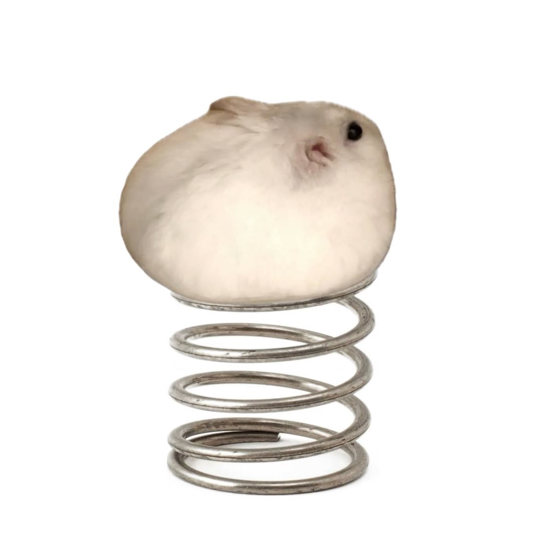 Tweets Of Hamster tweet media