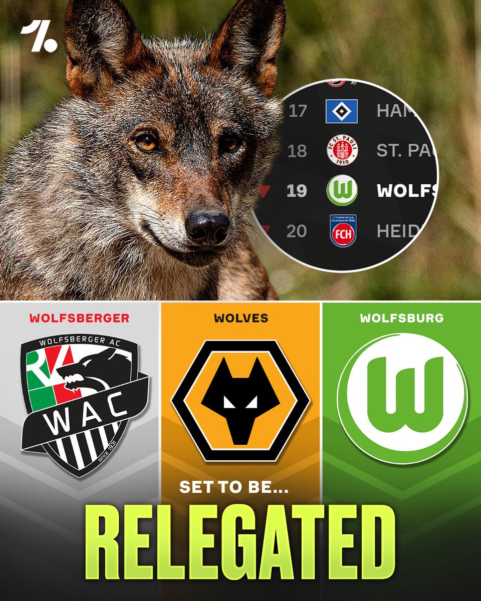 OneFootball tweet media
