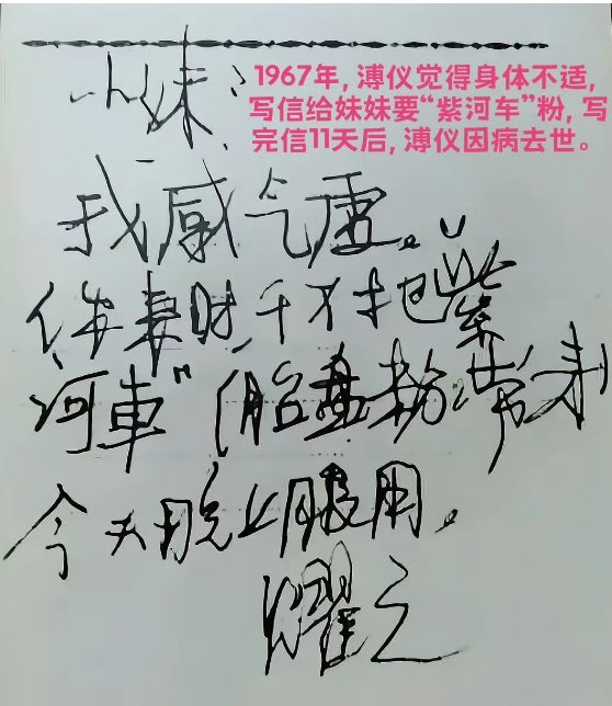 茶先生 tweet media