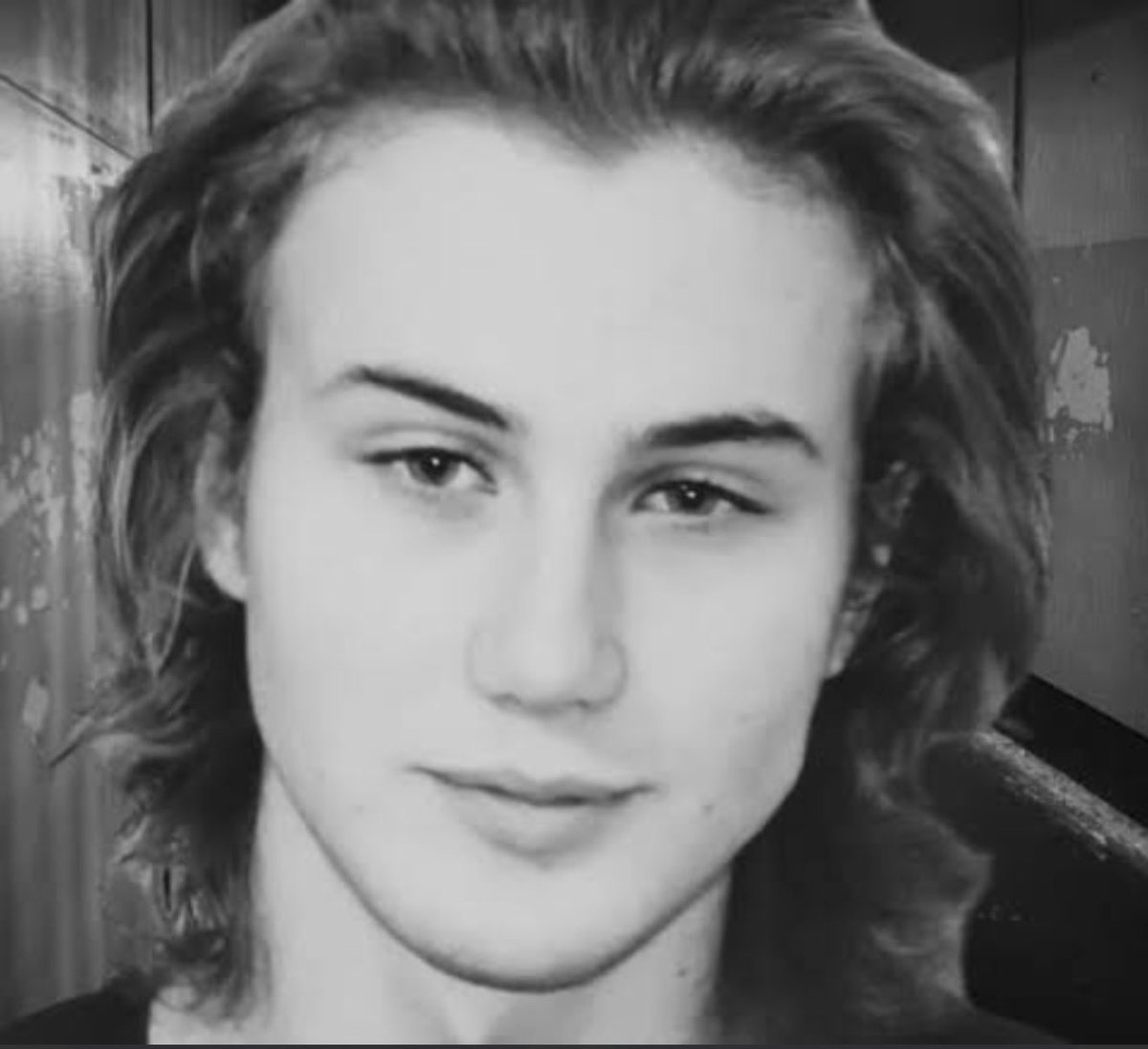 StarPlatinum tweet media