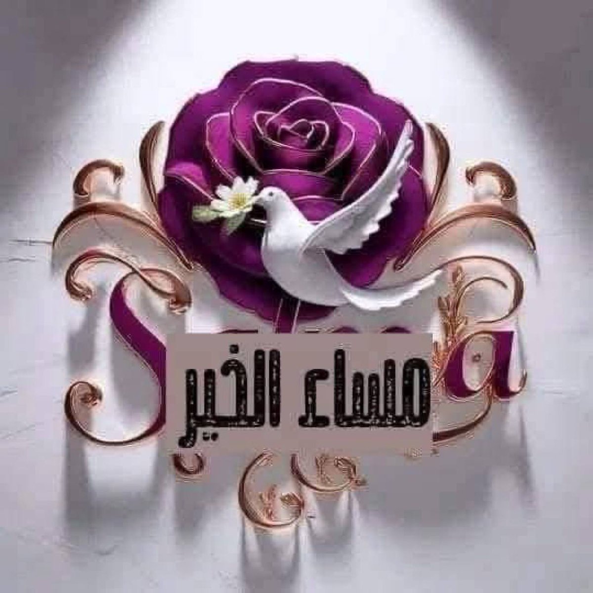 الادهم🤍 التم لنفس الحساب فقط tweet media