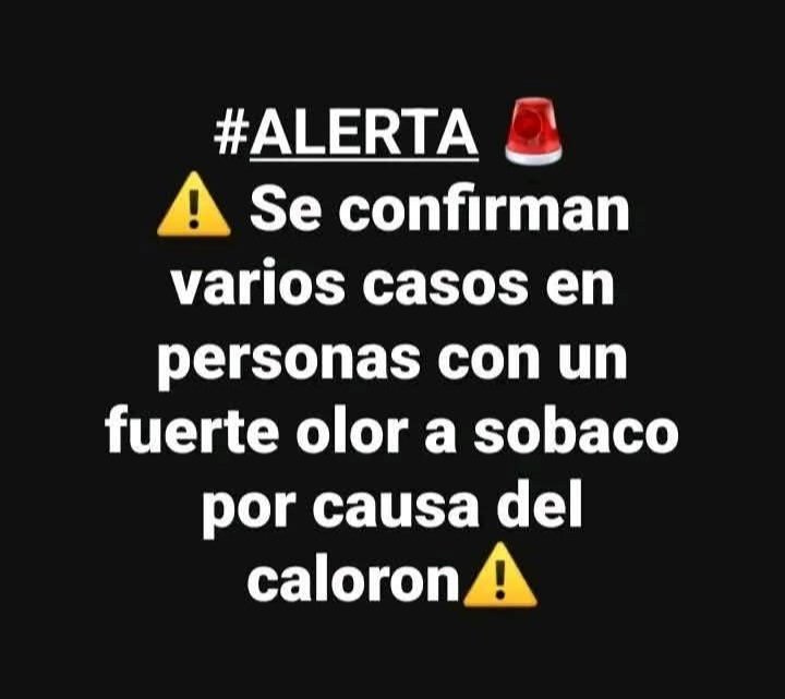 🇲🇽 México Mágico ✨ tweet media