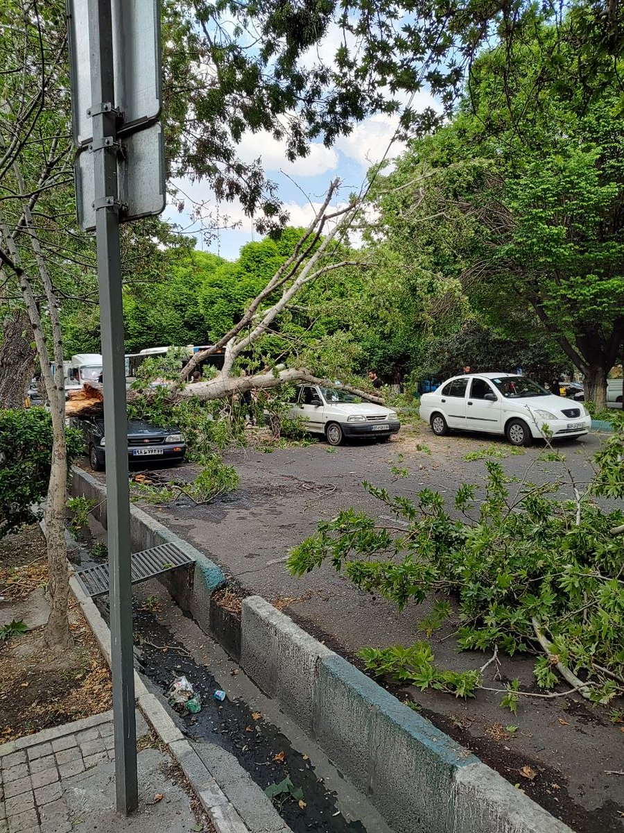 Vahid Online tweet media