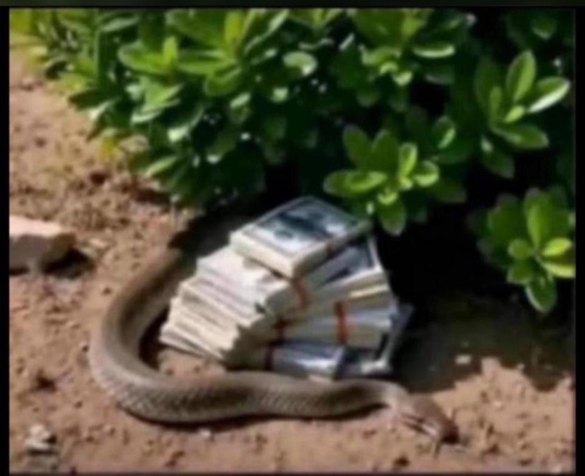 Mariam oyindamola tweet media