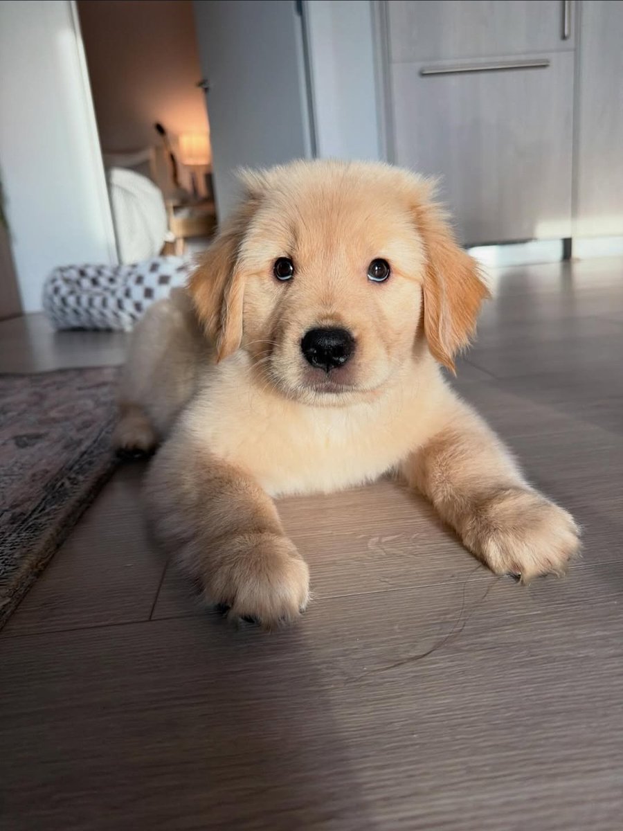 Cap'n Crunch Charms tweet media