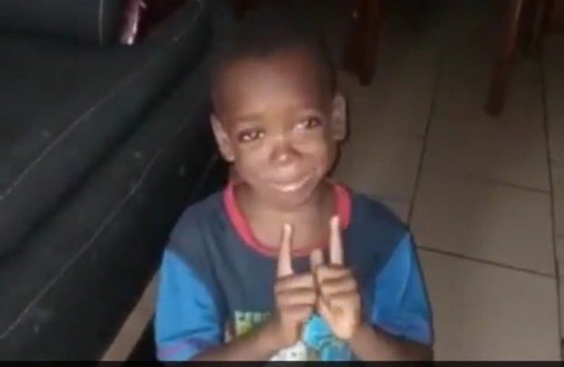 @TFR 🌐 tweet media