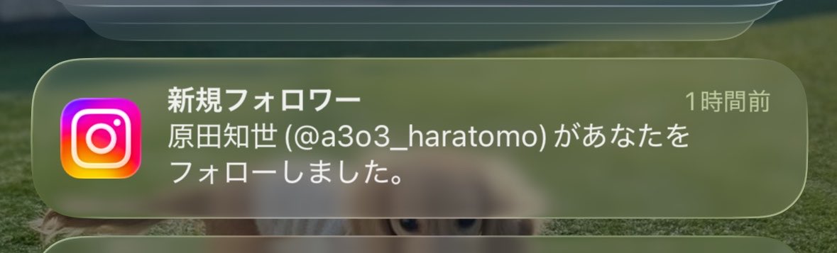 きょうか tweet media