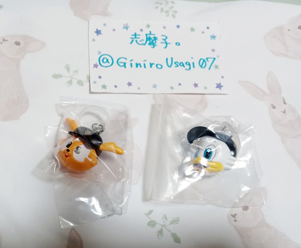 志摩子@Wi-Fi難民中 tweet media