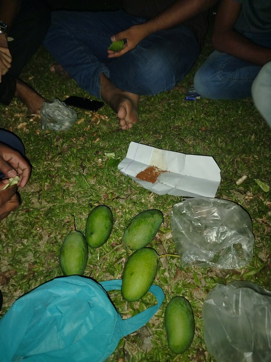 Raw mangoes + Chili salt = The taste of summer afternoons.
