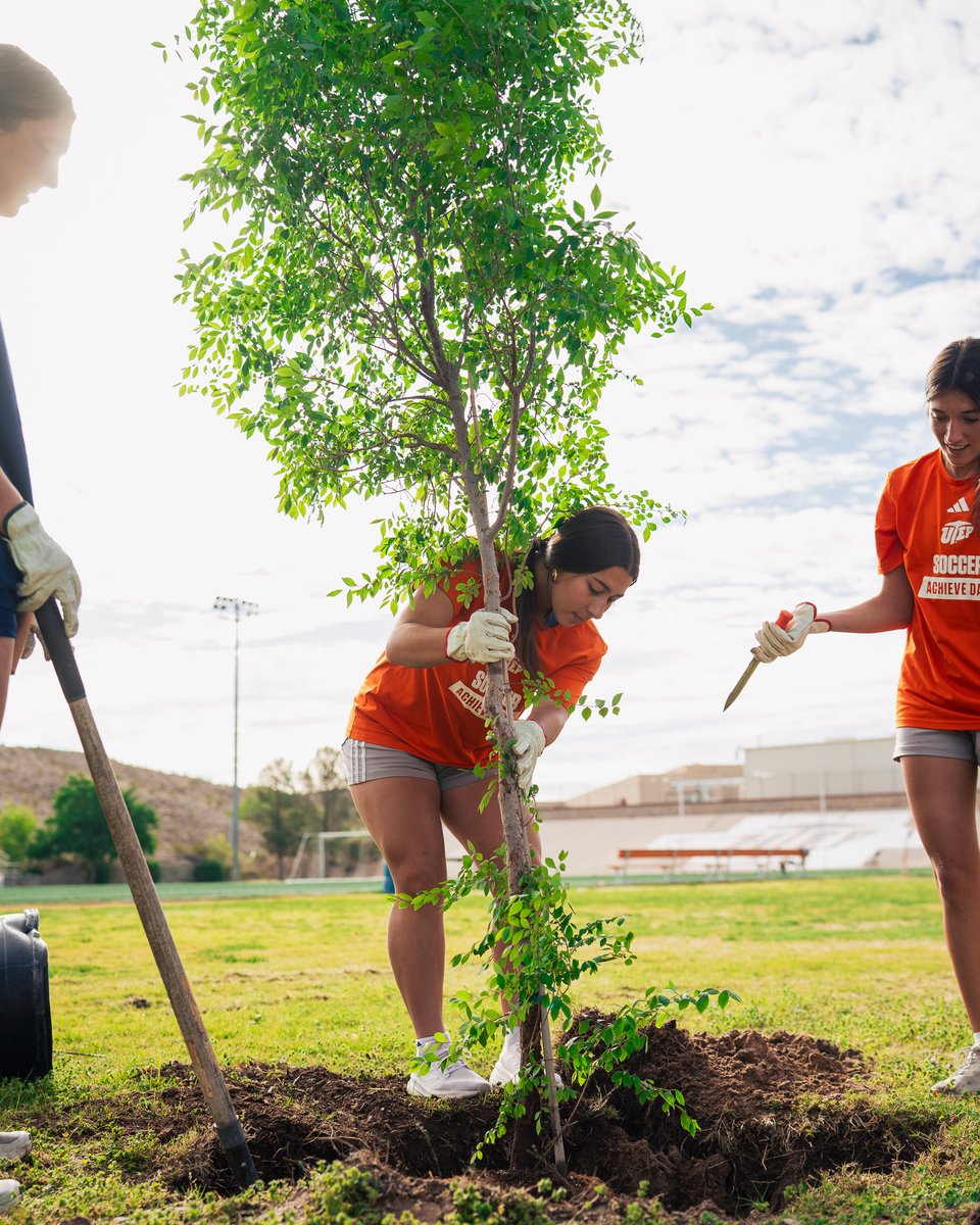 UTEP Soccer tweet media