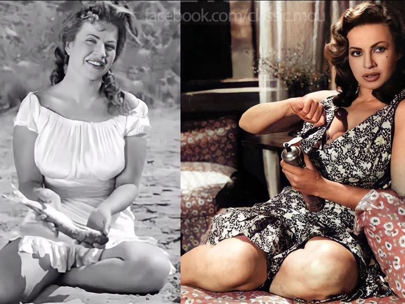 ༺ليہلى༻ tweet media