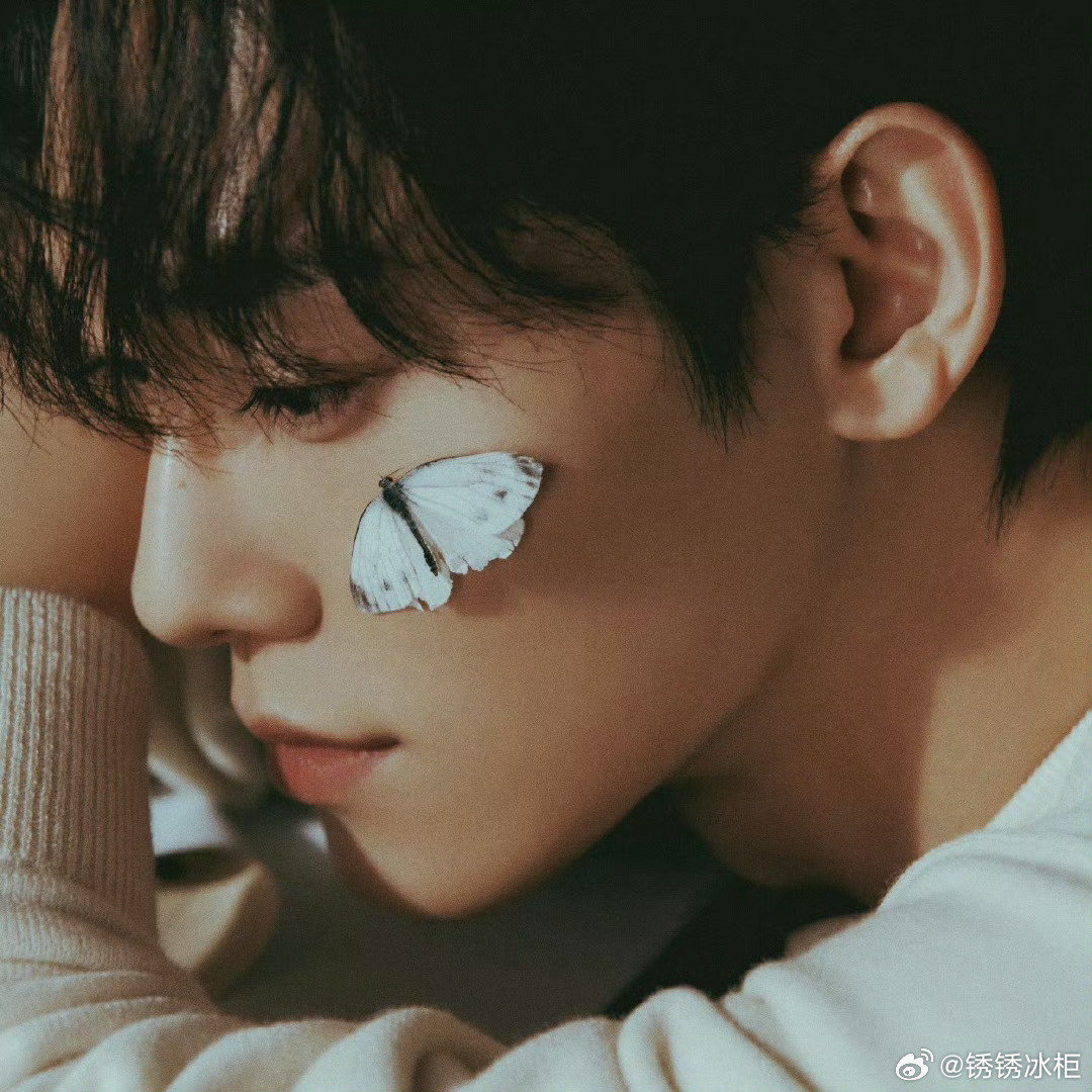 softchenxiu's tweet photo. 🦋✨ https://t.co/Uk0uxbI9yh
