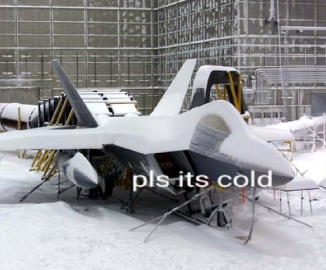 SHARKY 🌟🦎 tweet media