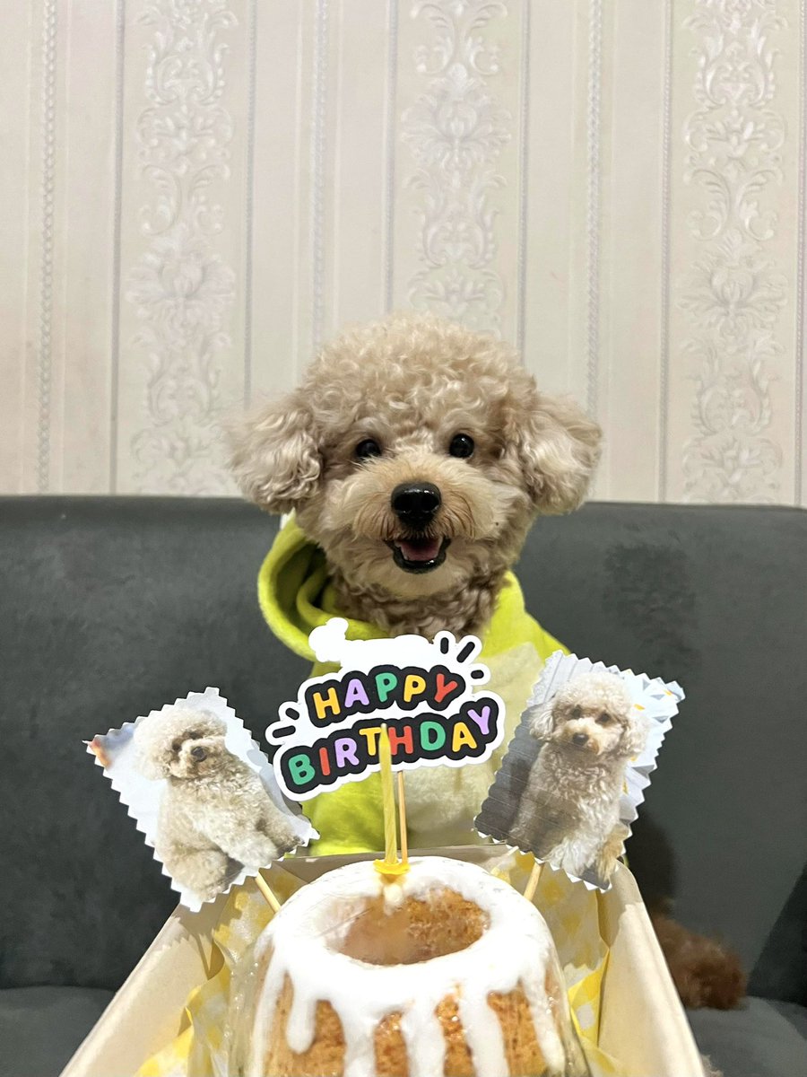 Adeline Wijaya tweet media