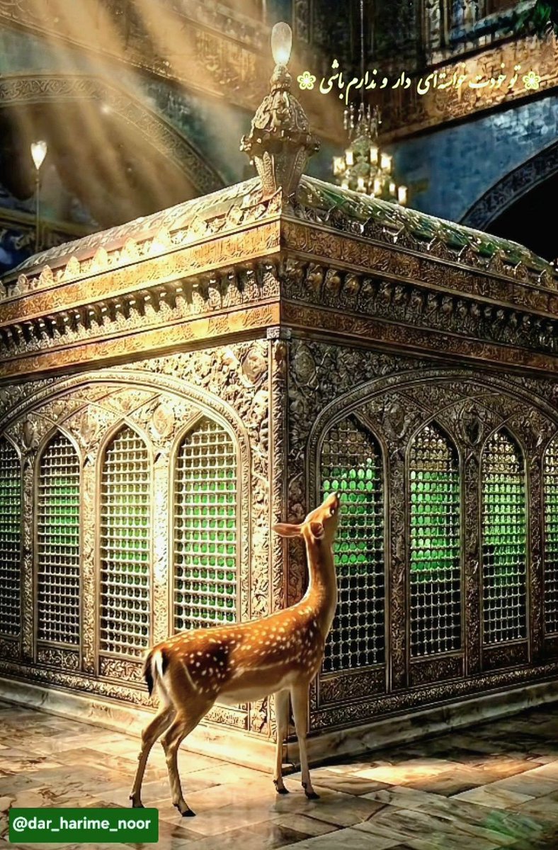 فاطمه بانو tweet media