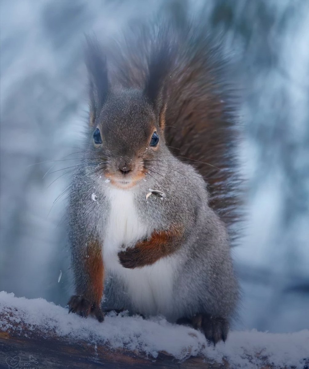 Mohamed Imranullah S tweet media