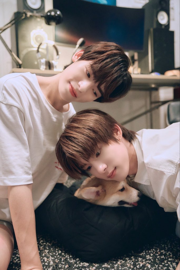 Dik_2702 tweet media