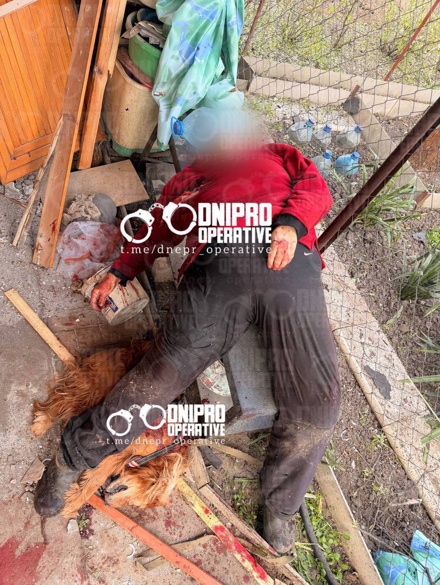 БыльБылева tweet media