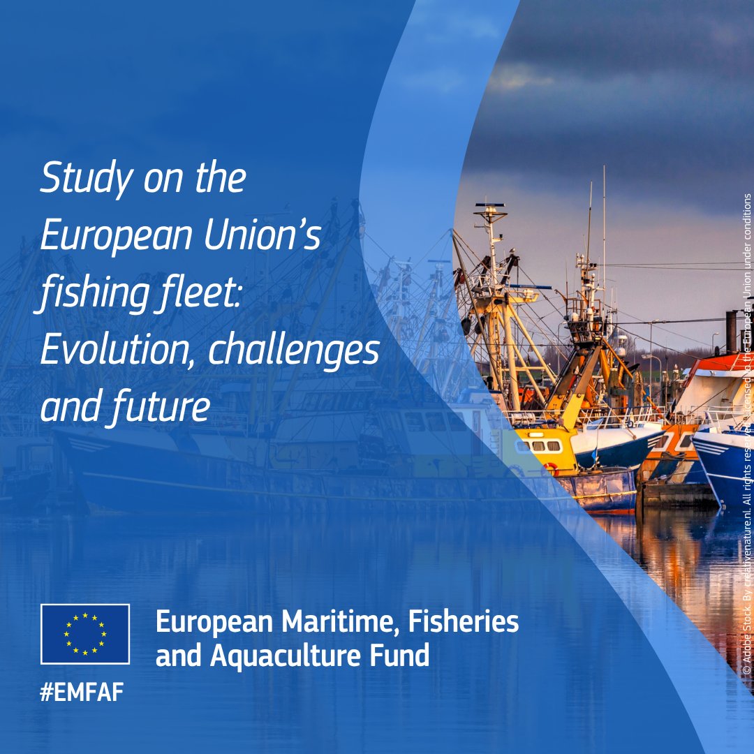 cinea_eu's tweet image. The EU fishing fleet has gradually reduced its size and power over the past years.

Ensuring a balance between fishing capacity and available fishing opportunities remains a Common Fisheries Policy's objective.

Read the full study: link.europa.eu/tVmXng

#EU #EMFAF