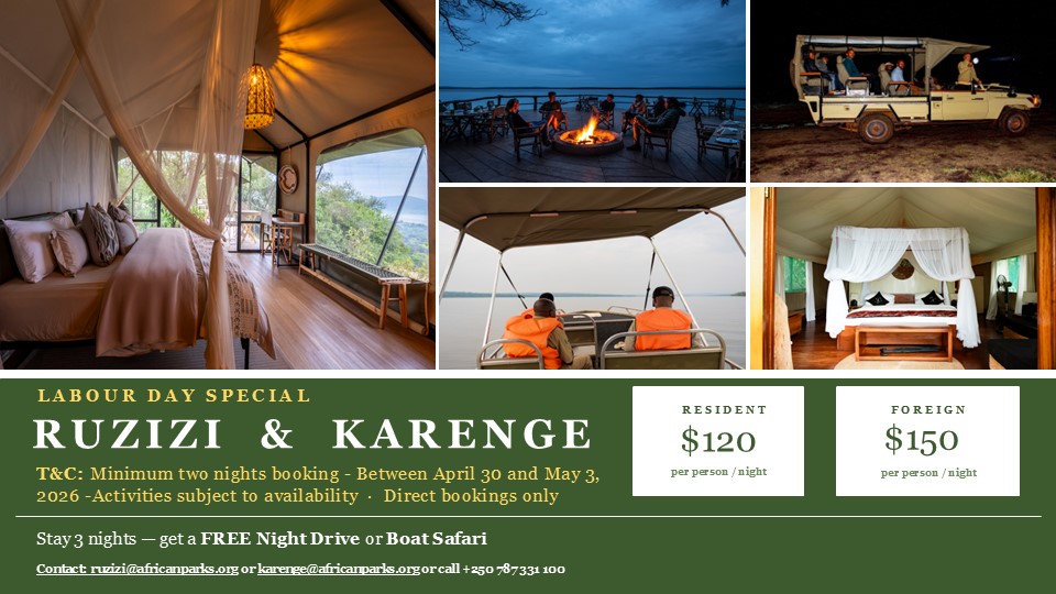 Akagera National Park tweet media