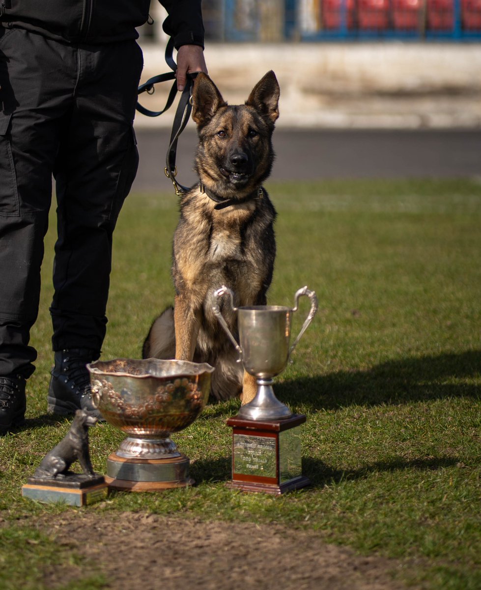 Police Scotland Dogs tweet media