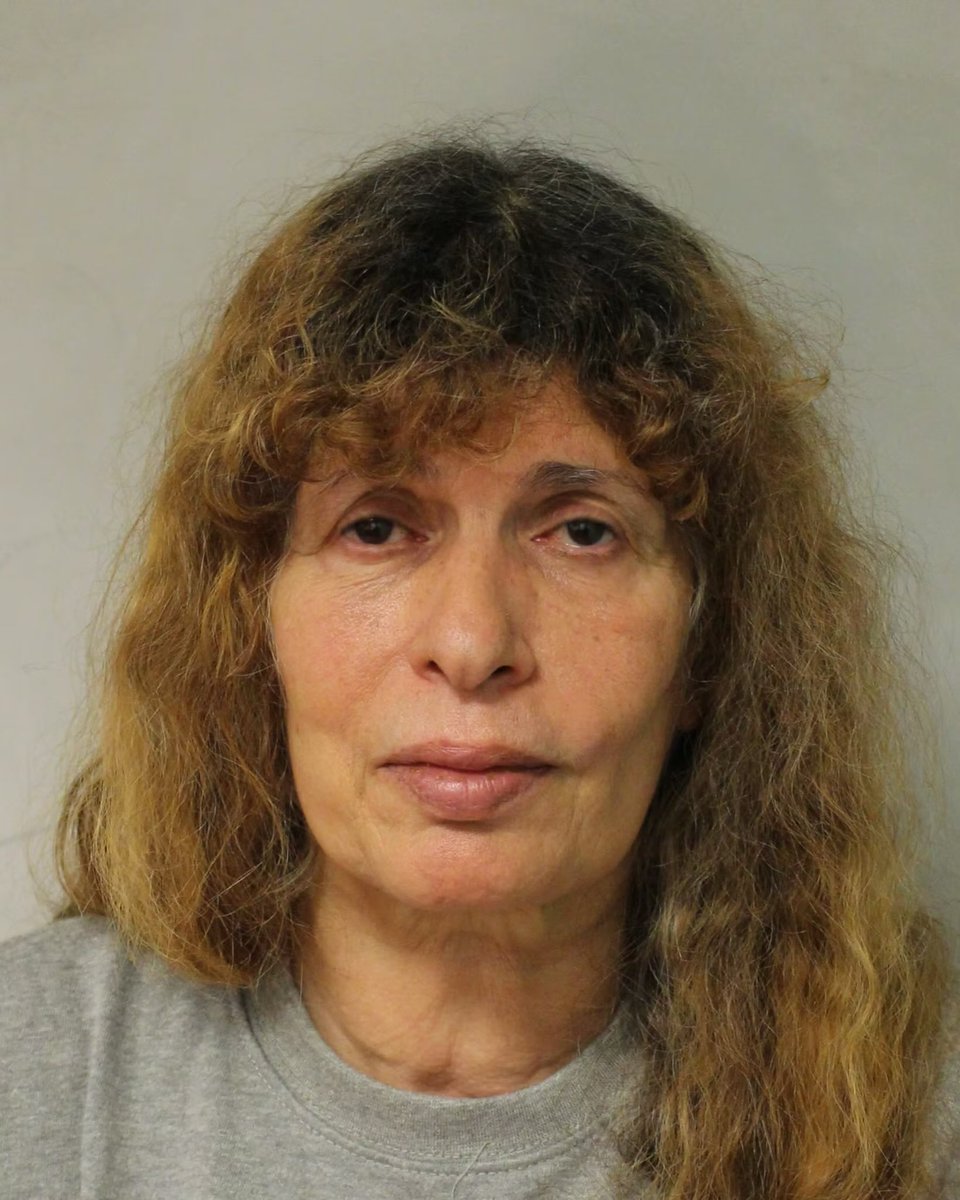 csi_london's tweet image. A woman has been found guilty of murdering her sister inside her Camden home in 2025, following a meticulous investigation by @metpoliceuk detectives.

@CrimeLdn @ScarcityStudios @999London @uknip247 @obbsie @totalcrime